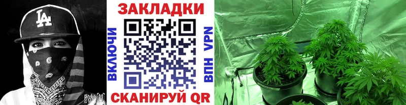 Купить наркотики цена Шенкурск Конопля  MDMA  ГАШИШ 