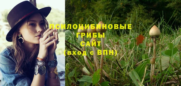 ешки Верхнеуральск