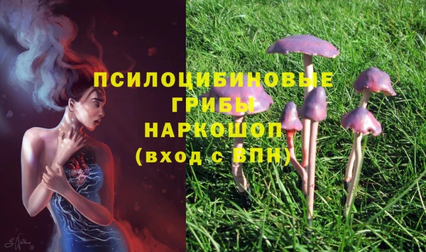 спайс Верхний Тагил