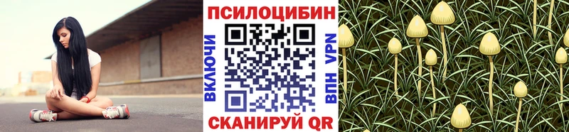 купить   Шенкурск  Галлюциногенные грибы мицелий 